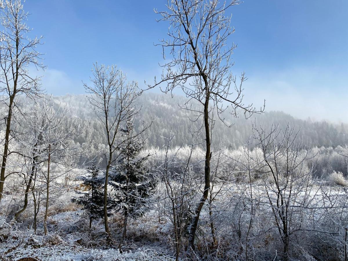 Pokoje Goscinne Pod Jaworem - Obok Pieknego Szlaku Wzdluz Rzeki Bialka, 1Km Do Stokow Kotelnica エクステリア 写真