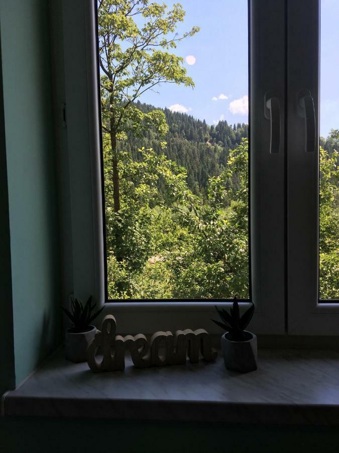 Pokoje Goscinne Pod Jaworem - Obok Pieknego Szlaku Wzdluz Rzeki Bialka, 1Km Do Stokow Kotelnica エクステリア 写真